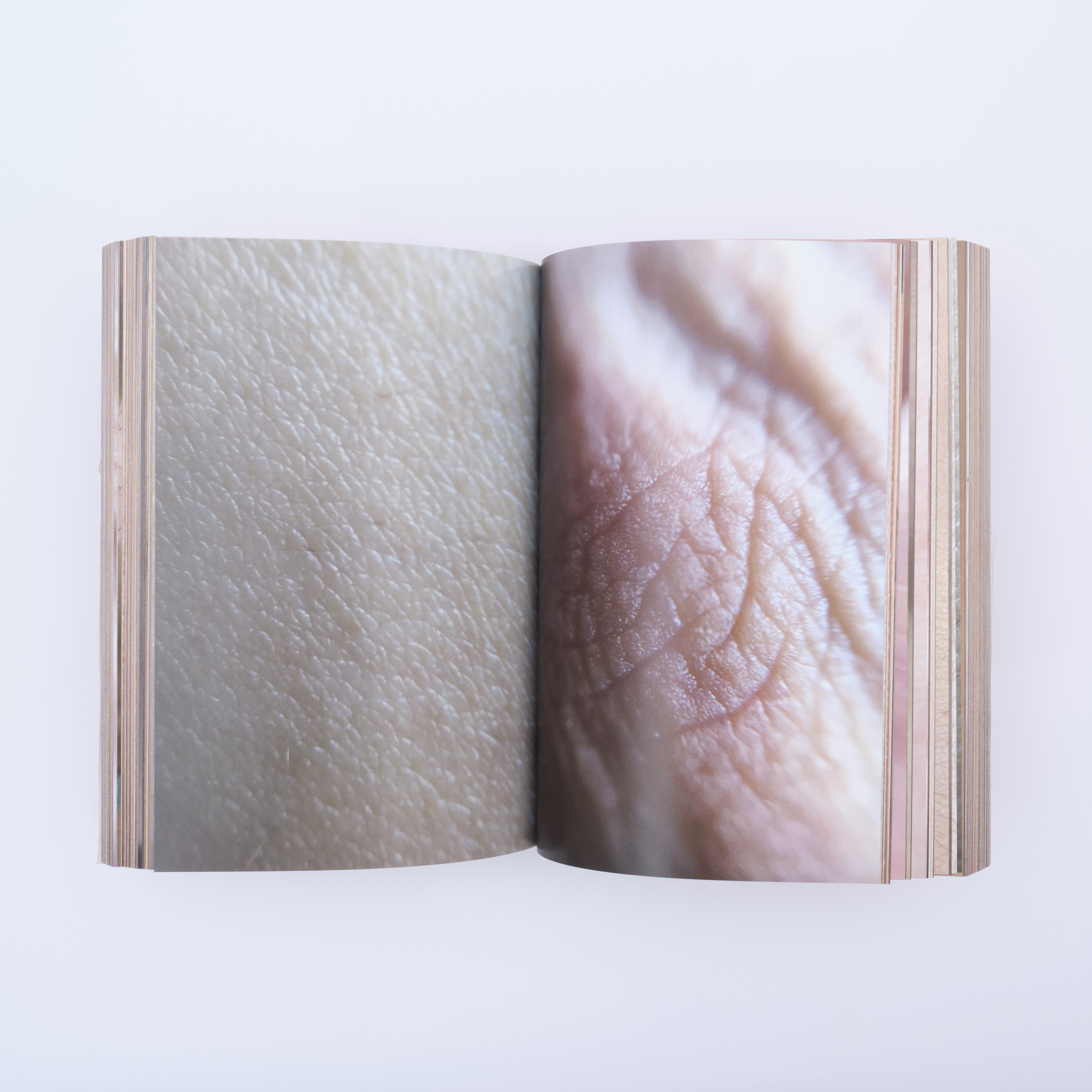 Skin detail 3